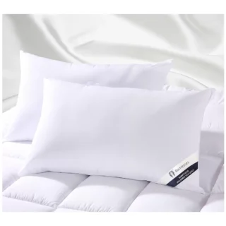 Kingtex Mulberry Silk Pillows 48x74cm Twin pack White Medium